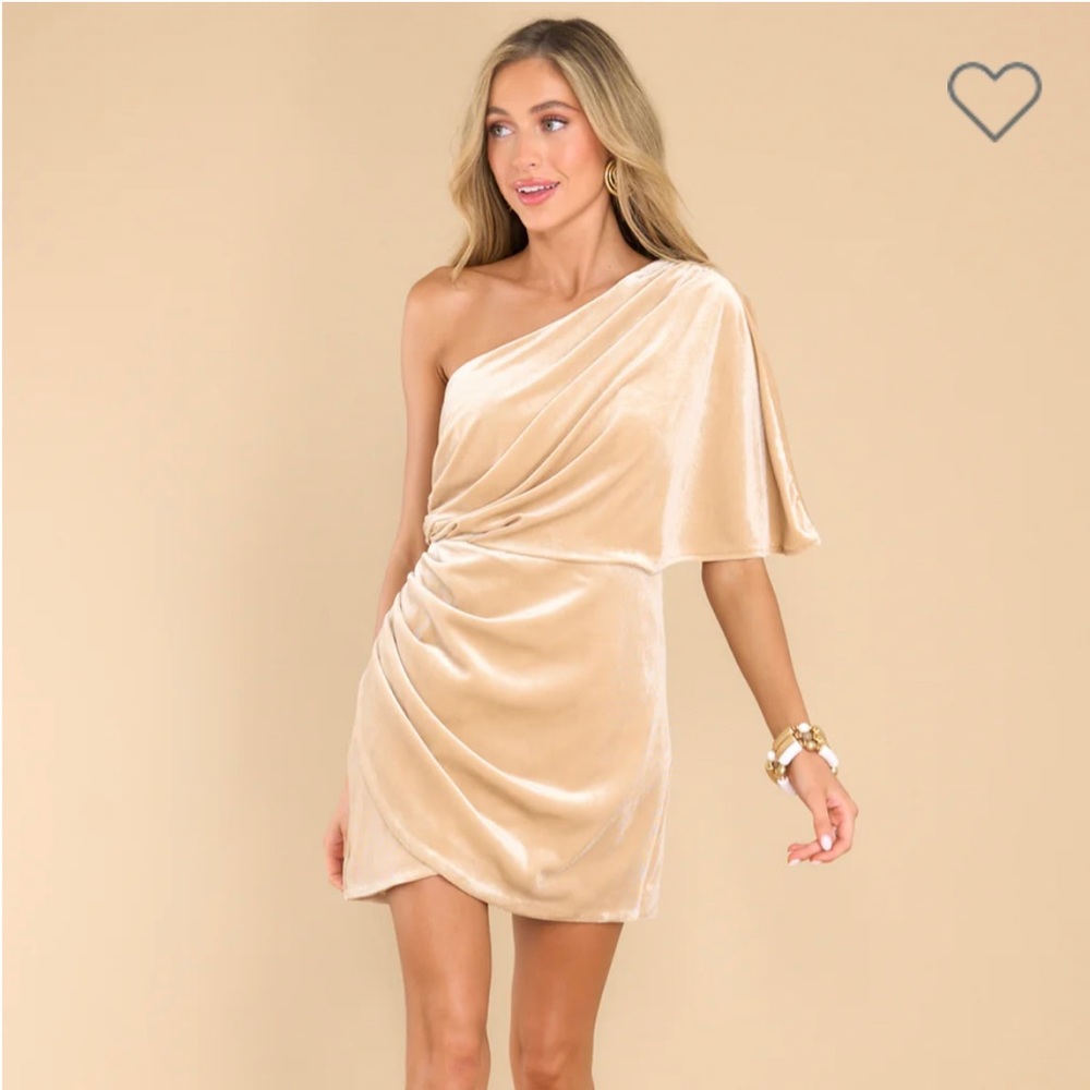 Red Dress Boutique Velvet Dress